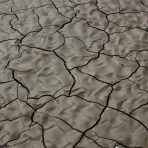  Dried Mud, Big Bend 2008